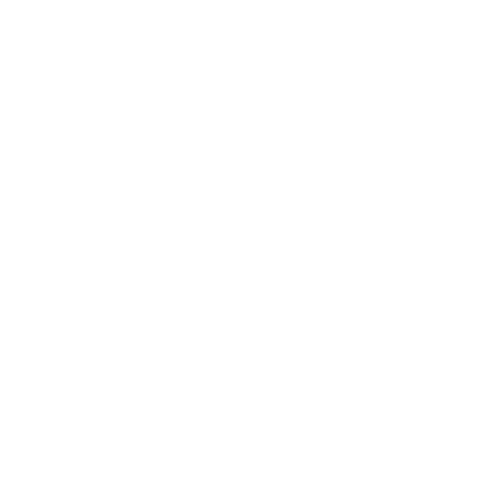 smalit-vit